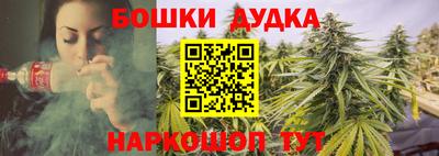 сатива Абинск
