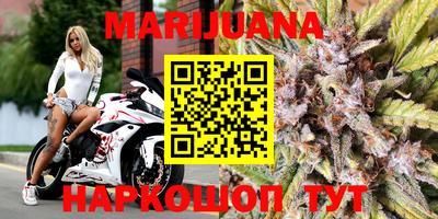 сатива Абинск